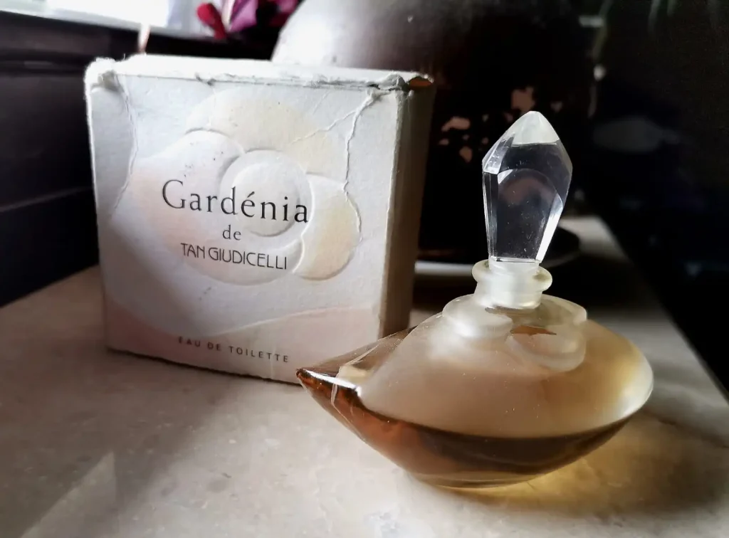 Gardenia від Tan Giudicelli - Gardenia by Tan Giudicelli