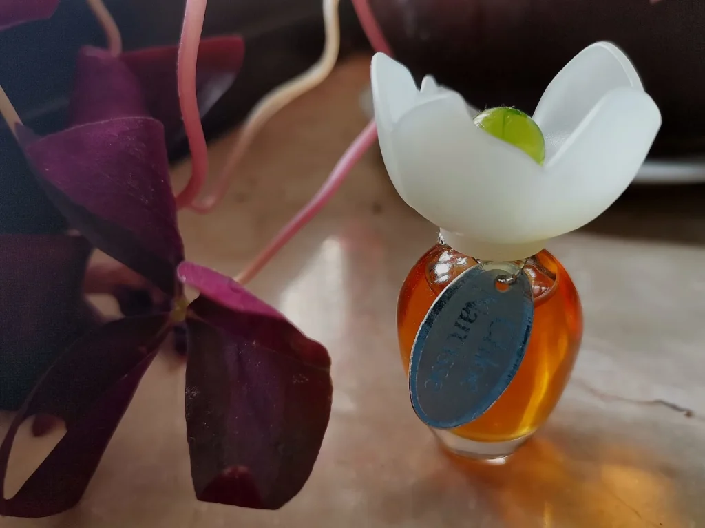 Chloé Narcisse Chloé