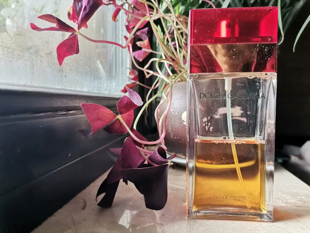 Dolce&Gabbana Dolce&Gabbana