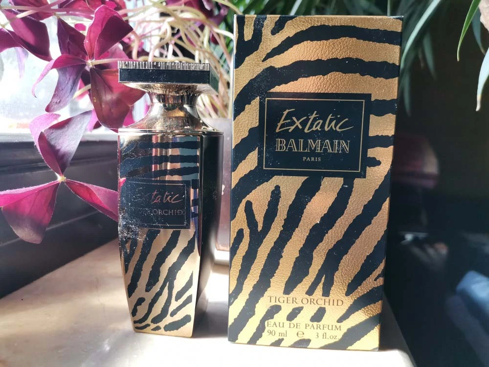 Extatic-Tiger-Orchid-Pierre-Balmain - Predola