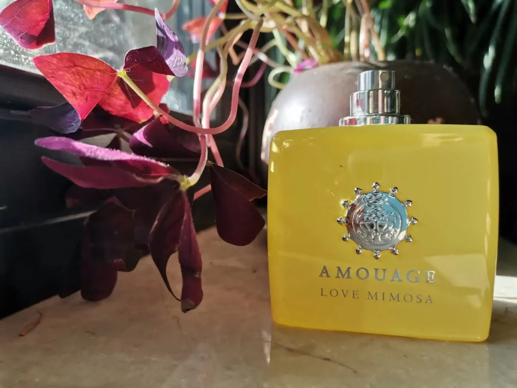 Love Mimosa Amouage