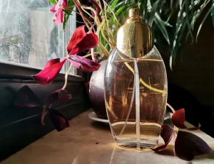 Divina Diana de Silva