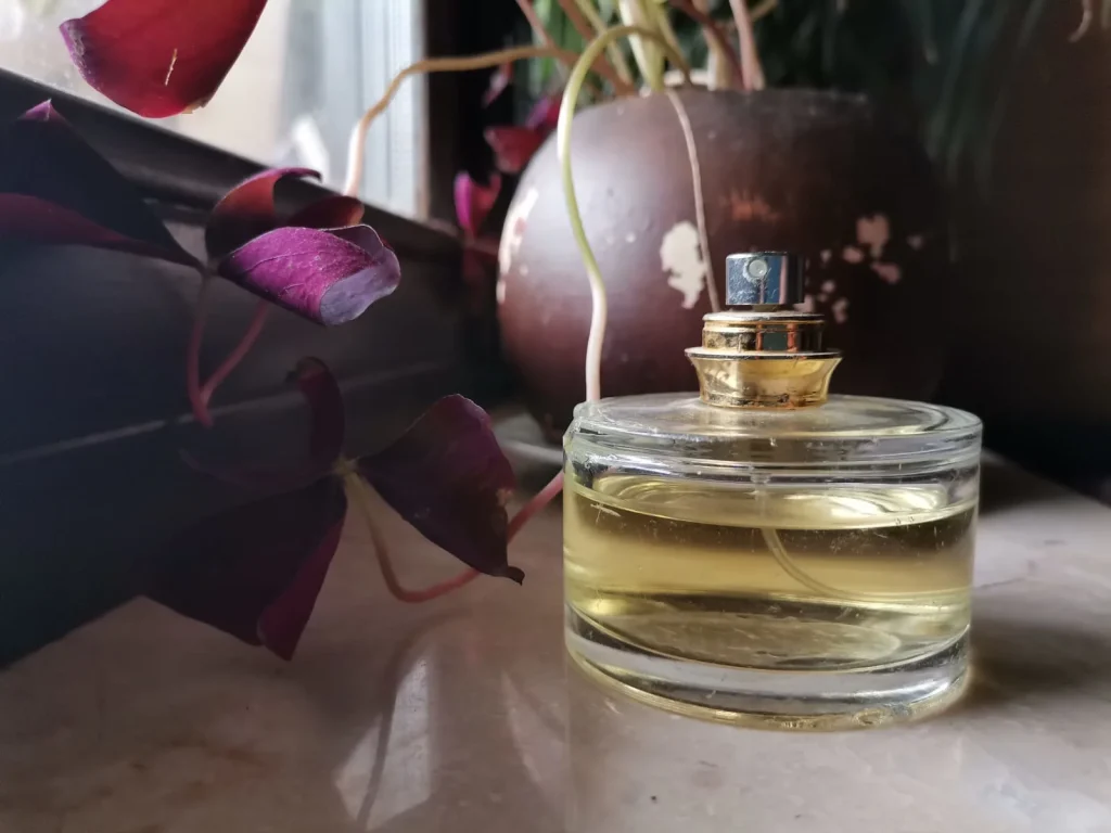 Glamourous Ralph Lauren