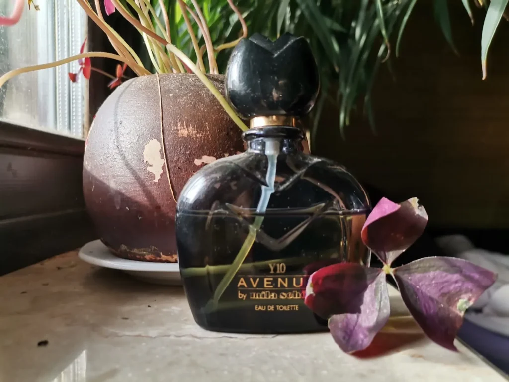 Y10 Avenue Mila Schön