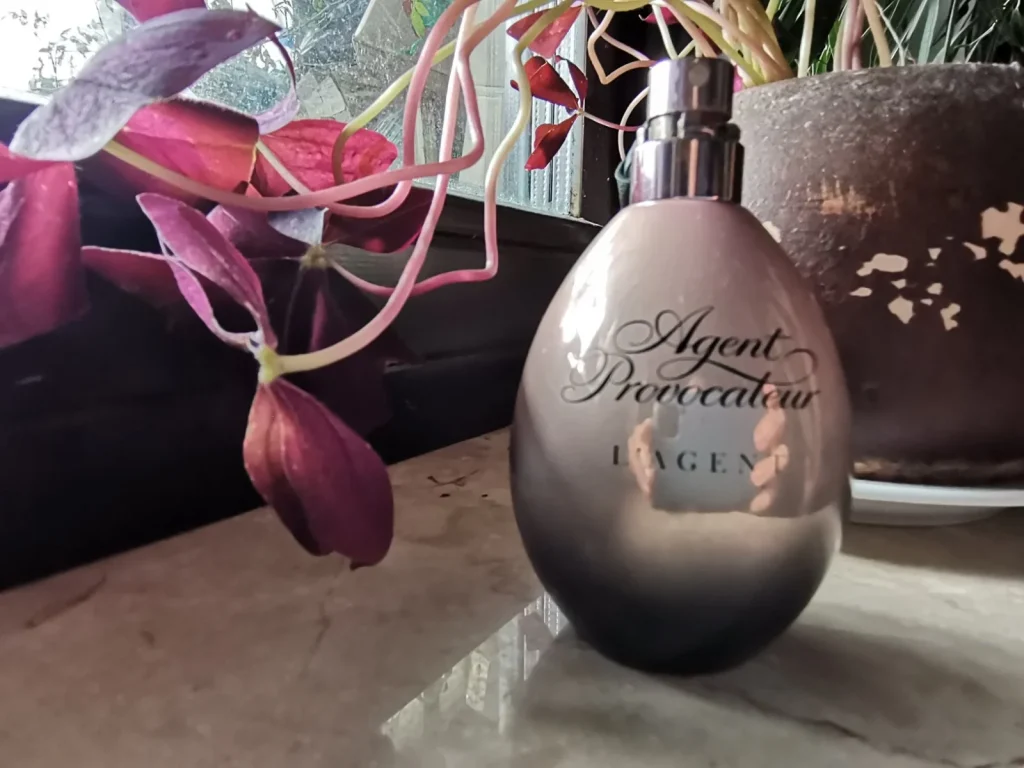 L'Agent Agent Provocateur