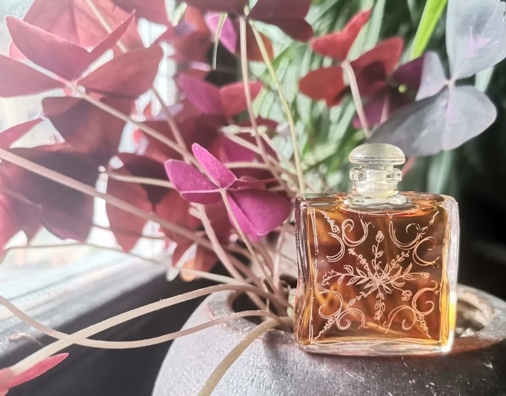24 Faubourg Hermès