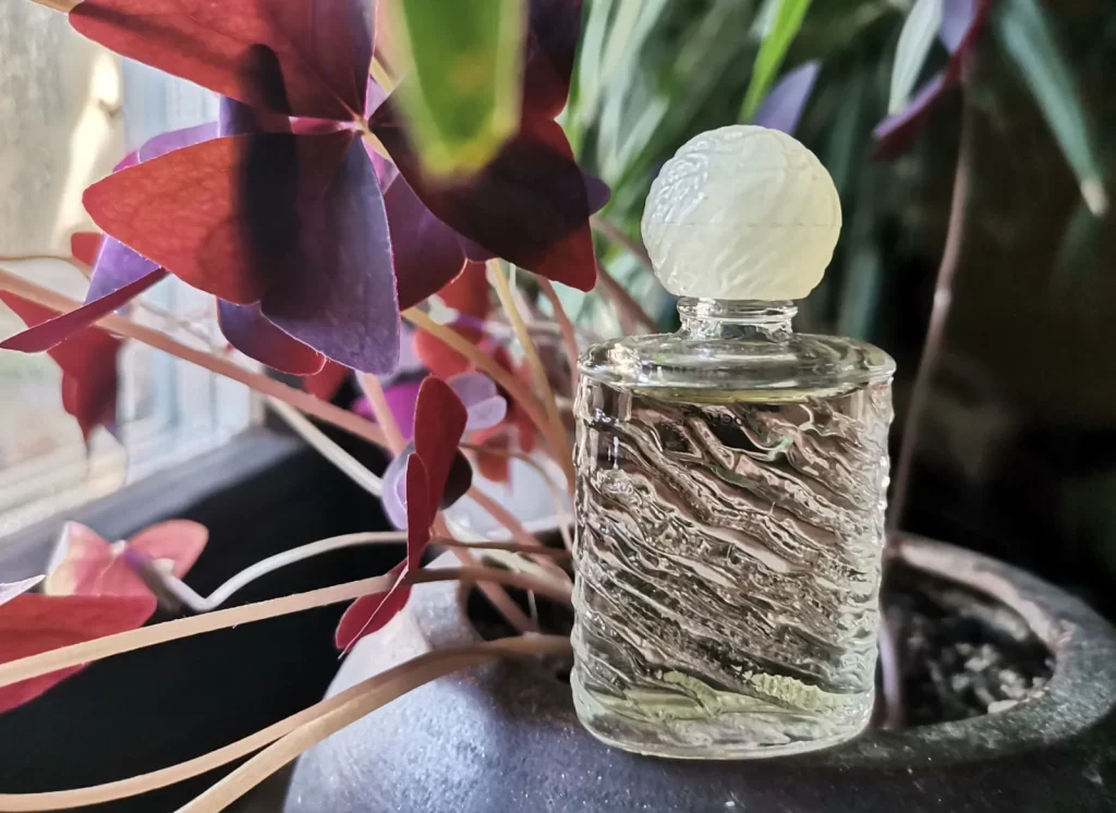 Eau de Rochas Rochas