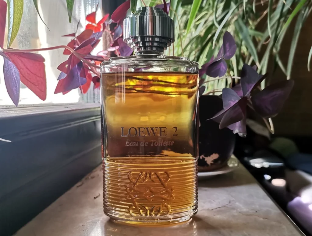 Loewe 2 Loewe
