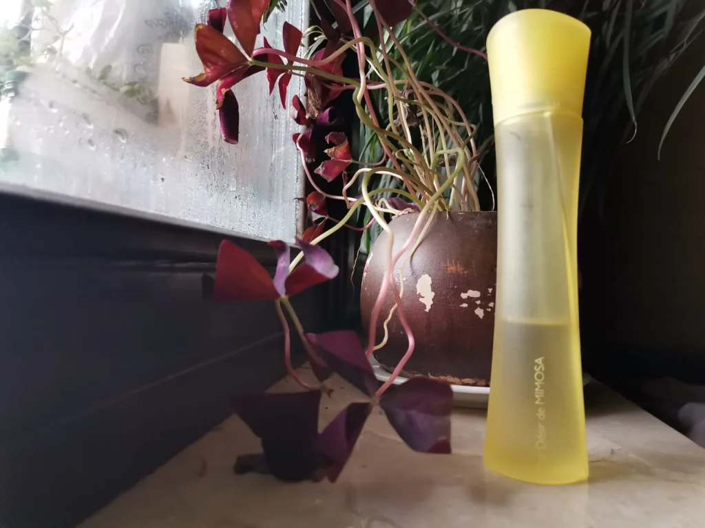 Pur Desir de Mimosa Yves Rocher
