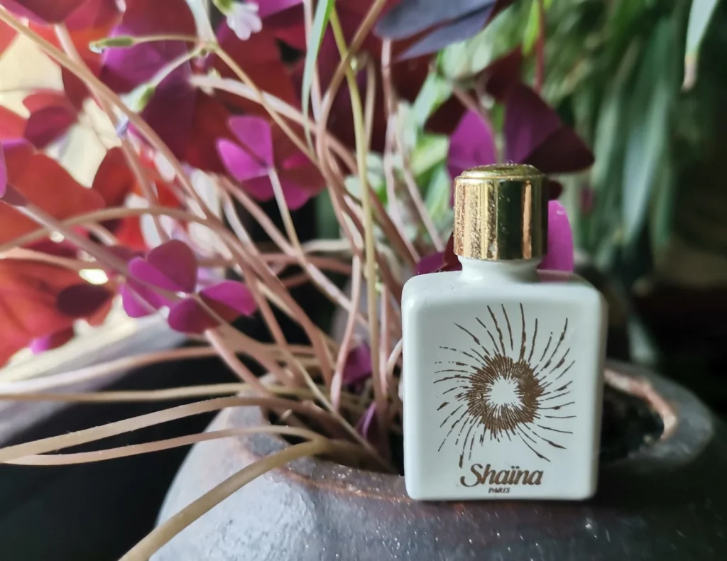 Shaina Atelier Delteil