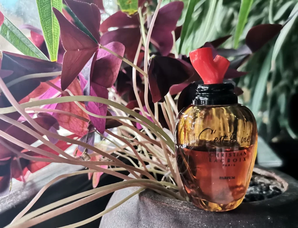 C'est La Vie Christian Lacroix