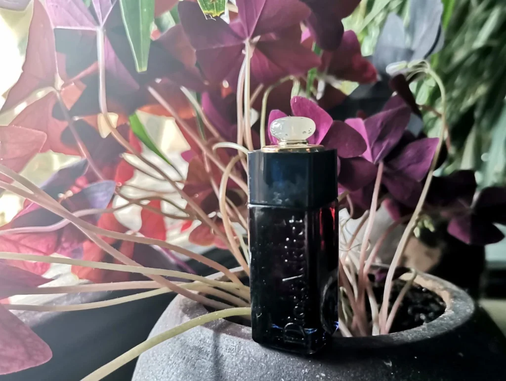 Dior Addict Dior