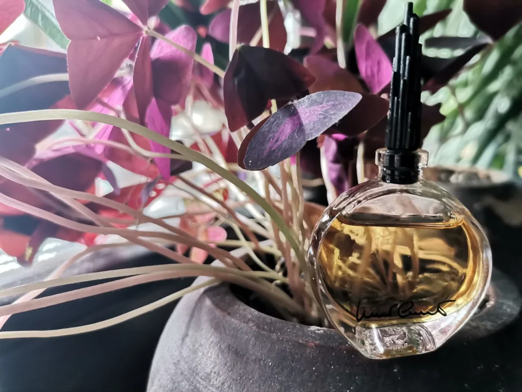 Nino Cerruti Pour Femme Cerruti