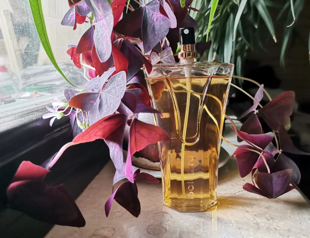 Renato Balestra Pour Femme Renato Balestra