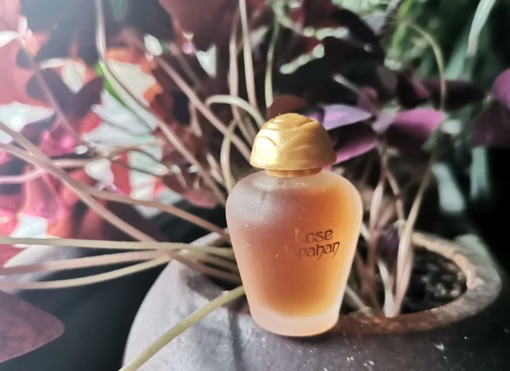 Rose Ispahan Yves Rocher