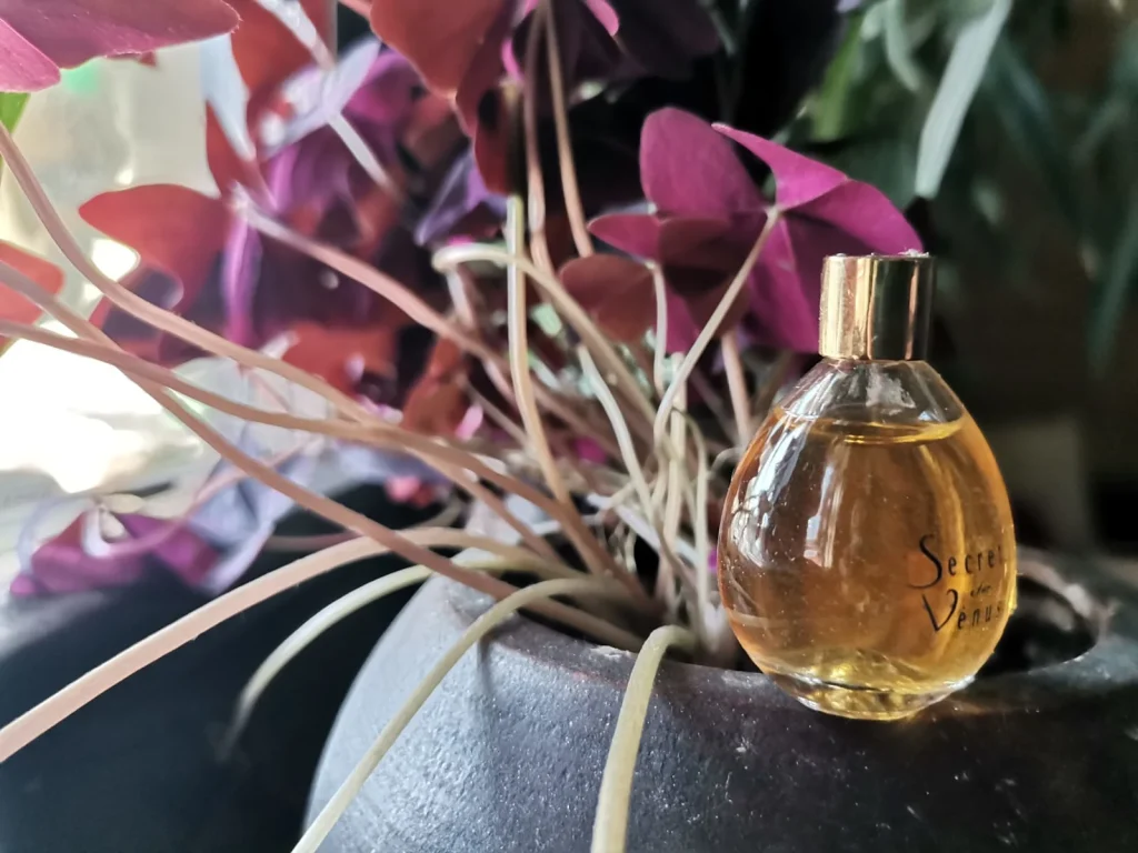 Secret De Venus Weil