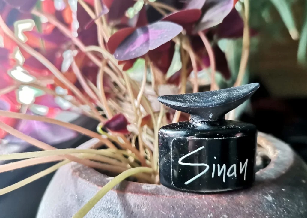 Sinan Jean-Marc Sinan