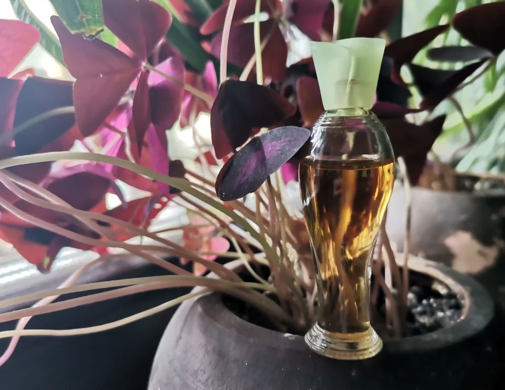 Talisman eau Transparente Balenciaga