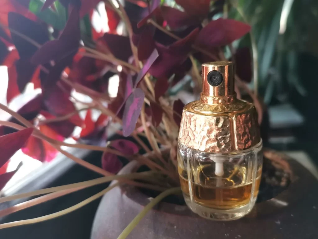 Yvresse (Champagne) Yves Saint Laurent