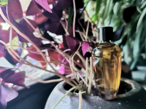 Bel Ami Hermès