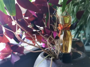 Pour Une Femme de Caron Caron